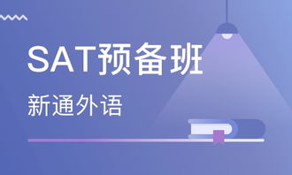 专业赋能，品质领航——温州新通外语学校获大众网推荐品牌认证，携手温州网络技术服务打造智慧教育新生态